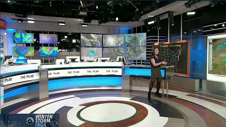 Erika Navarro 1/15/2018 3pm