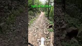 Ripping the hills! - 2 stroke dirt bike - Husqvarna te150