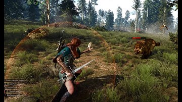 The Witcher 3 custom character mod