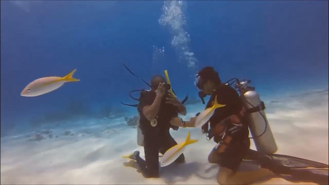 diving panic control YouTube