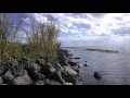 крокодил греется на камнях на Okeechobee Lake, штат Флорида