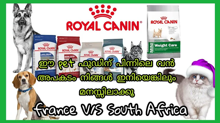 Video 2652791: persian cat food review, persian cat dog, food royal canin, royal pet