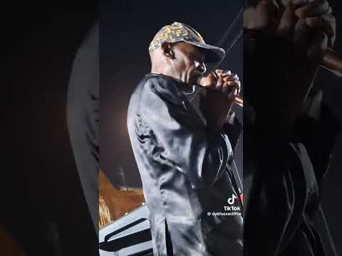 الأستاذ الفنان أحمد قشرة