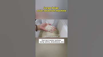 Rice color sorter, the most professional rice sorting equipment