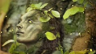 Dance of Life • Relaxing Celtic Music for Relaxation \& Meditation