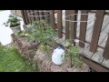 Straw bale gardening