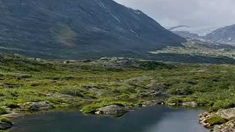 وَلَوْ تَرَىٰ إِذْ وُقِفُوا عَلَىٰ رَبِّهِمْ ۚ تلاوة القارئ عبدالولي الاركاني