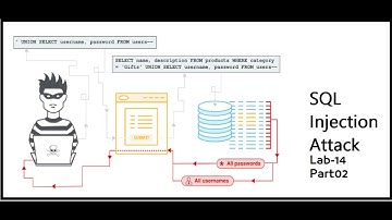 Blind SQL Injection with Time Delay & Info Retrieval - Lab#14 Part02