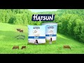 Hatsun Curd TV Commercial- Telugu | Iris Films Ad Film Maker Chennai