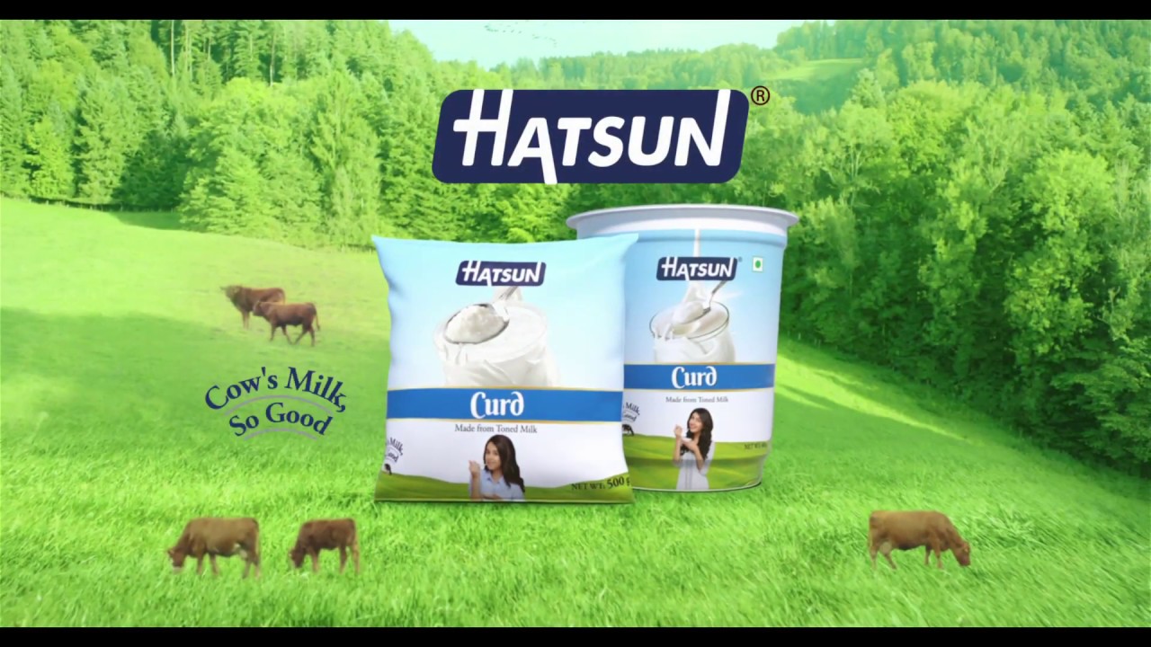 Hatsun Curd TV Commercial  Telugu  Iris Films Ad Film Maker Chennai