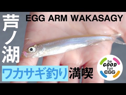 ワカサギ　ロッド　仕掛け　その他　エッグアームワカサギなど ワカサギ釣りはじめてみませんか!?】ジャッカルのエッグEGG