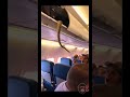 SNAKE On Plane Hidden In Overhead Bin Causes PANIC Snake Fearofflying Python SNAKE On Plane Hidden In Overhead Bin Causes PANIC Snake Fearofflying Python