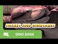 Dino Dana | Snakes and Dinosaurs | Episode Promo | Michela Luci, Saara Chaudry