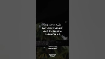 سورة آل عمران | #الله #allah #القران_الكريم #القرآن_الكريم #foryou #اكسبلور #explore #fyp #المنشاوي