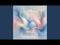Felt Memories