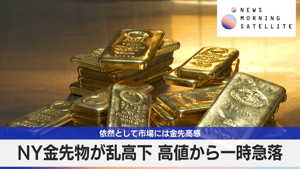 NY金先物が乱高下 高値から一時急落　依然として市場には金先高感【モーサテ】