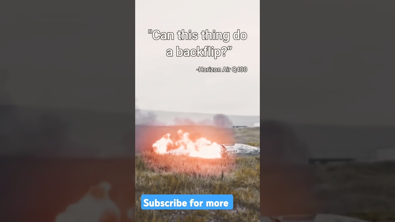 Pilots haunting last words before crashing 