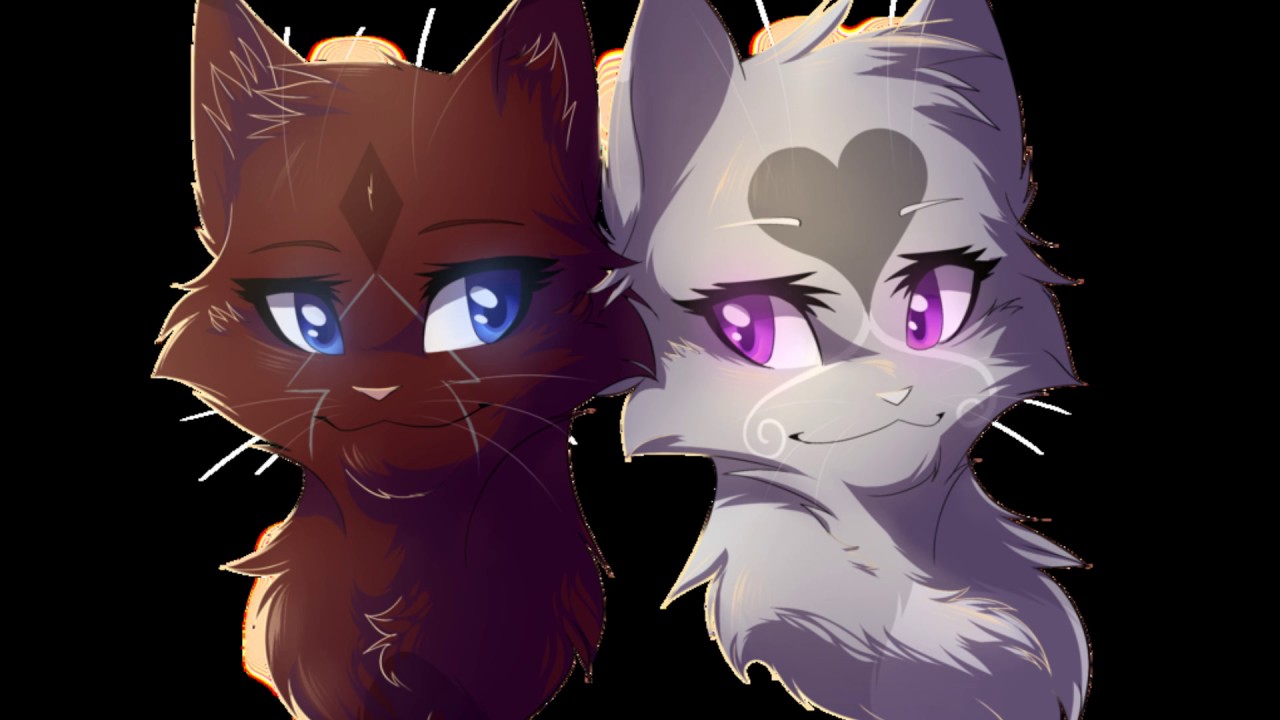 Warrior cats clans