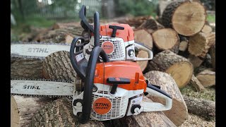 : Stihl MS 362 c-m vs Stihl MS 241 c-m (   / on hard firewood)