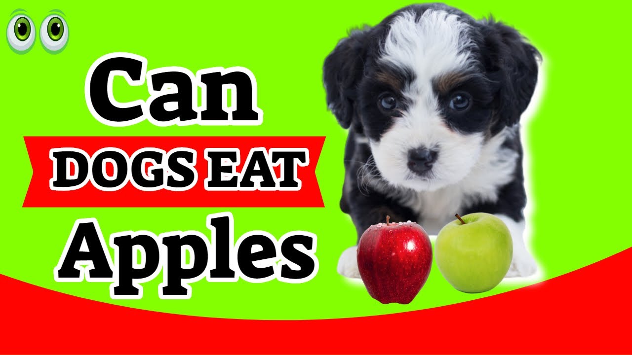 do dogs eat apples
