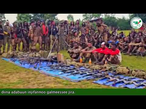 Injifannoo WBOn Zoonii Lixaa Galmeesse