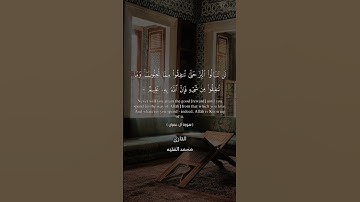 سورة آل عمران آيه٩٢#المنشاوي #اكسبلور #القرآن_الكريم #لايك #duet #تيك_توك #دويتو #راحة_نفسية #متابعه
