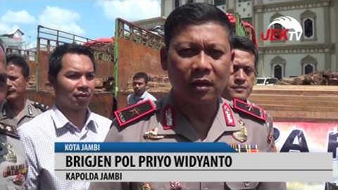 POLDA JAMBI AMANKAN 115 KUBIK KAYU ILEGAL