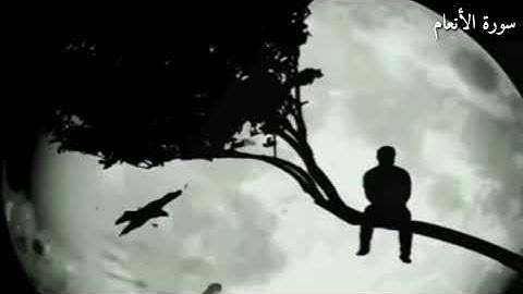 خالد الجليل حالات واتساب سورة الأنعام