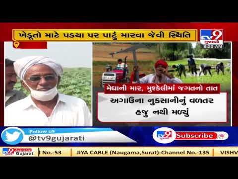 Kutch: Farmers in Loriya incur crop loss due to unseasonal rain in the region | TV9News