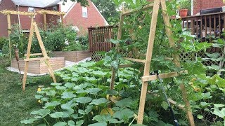 Our Suburban Garden Tour July 2017