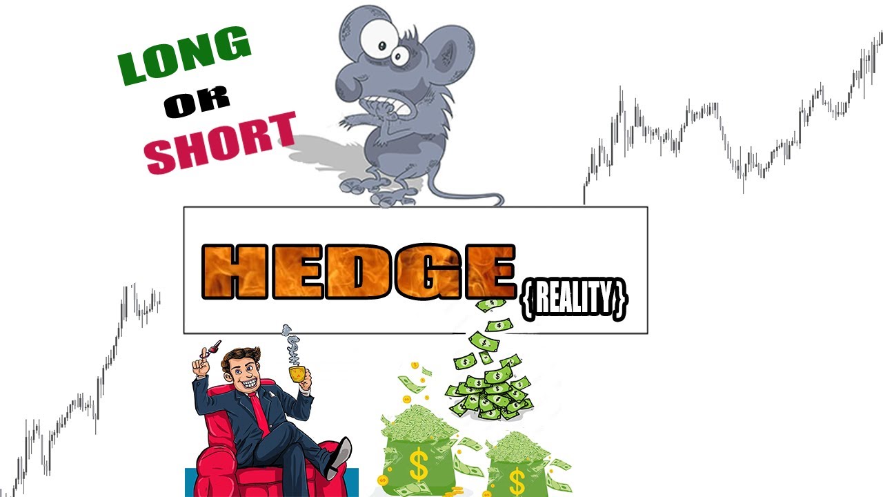 How To use Hedge mode What is Hedge mode Doctor Crypto YouTube