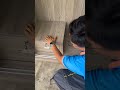 DIY wooden furniture - Which hidden compartment is safer? #furniture #hidden #viral #shortvideo
