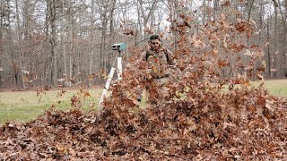 Fall clean up  by active green lawn care testing STIHL BR 800 C