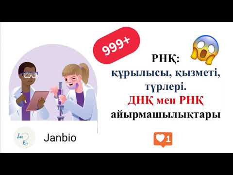 Бейне: РНҚ молекуласы дегеніміз не?