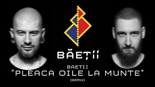 Baetii - Pleaca oile la munte (Remix)🇷🇴