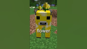 The Crazy Lore Of The Moobloom In Minecraft