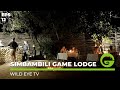 Wild Eye TV - Episode 12  - Simbambili Game Lodge