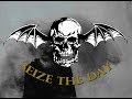 Avenged Sevenfold - Seize The Day Sub Español