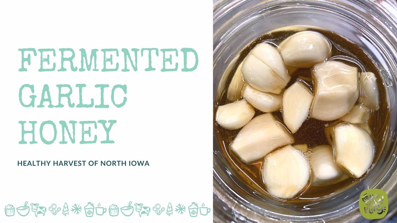Fermented Garlic Honey YouTube
