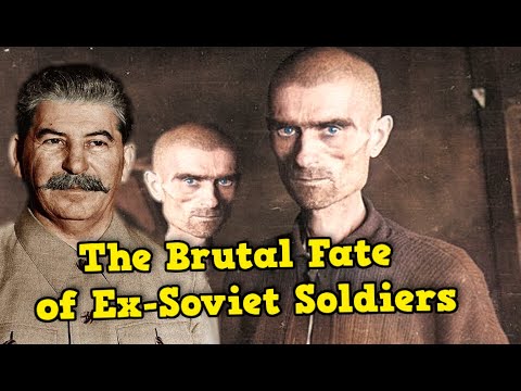 Video: Tiggernes liv i tsar-Russland