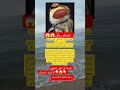 هل تعلم أن الذبابة تراك بـ 4000 عين إعجاز رباني لا ي صدق هل تعلم أن الذبابة تراك بـ 4000 عين إعجاز رباني لا ي صدق
