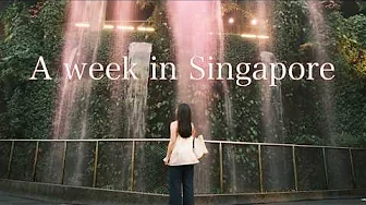 Singapore Travel Guide | Hawker Centre Crawls, Marina Bay Sands, Cloud Forest, Flower Dome, Google