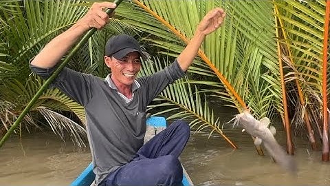 Khai trương môn mới cắm câu cá ngát trúng mánh