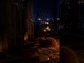Velvet Hour | Quick Calm for Study & Sleep