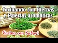 HIERBAS Y ESPECIAS AROMATICAS CONDIMENTOS que no deben faltar en la cocina