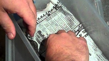 sexing carpet pythons