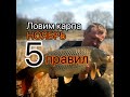 5 правил ловли карпа в ноябре.