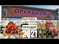 Орхидиум-2021: обзор с выставки-продажи орхидей - цветущие орхидеи, грунт, удобрения и много всего