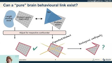OHBM 2023 | 3059 | Talk | Vera Komeyer | The Confound Continuum: A 2D confounder assessment for AI…
