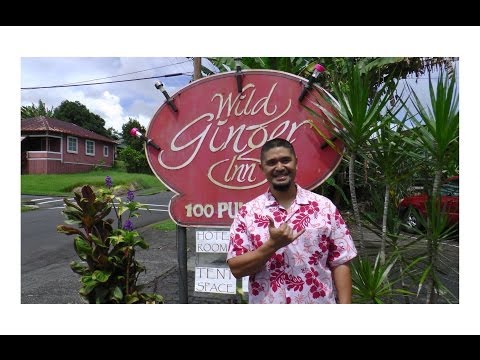 cheap-hotel-hostel-in-hawaii-wild-ginger-inn-hotel-&-hostel,-hilo,-big-island-hawaii